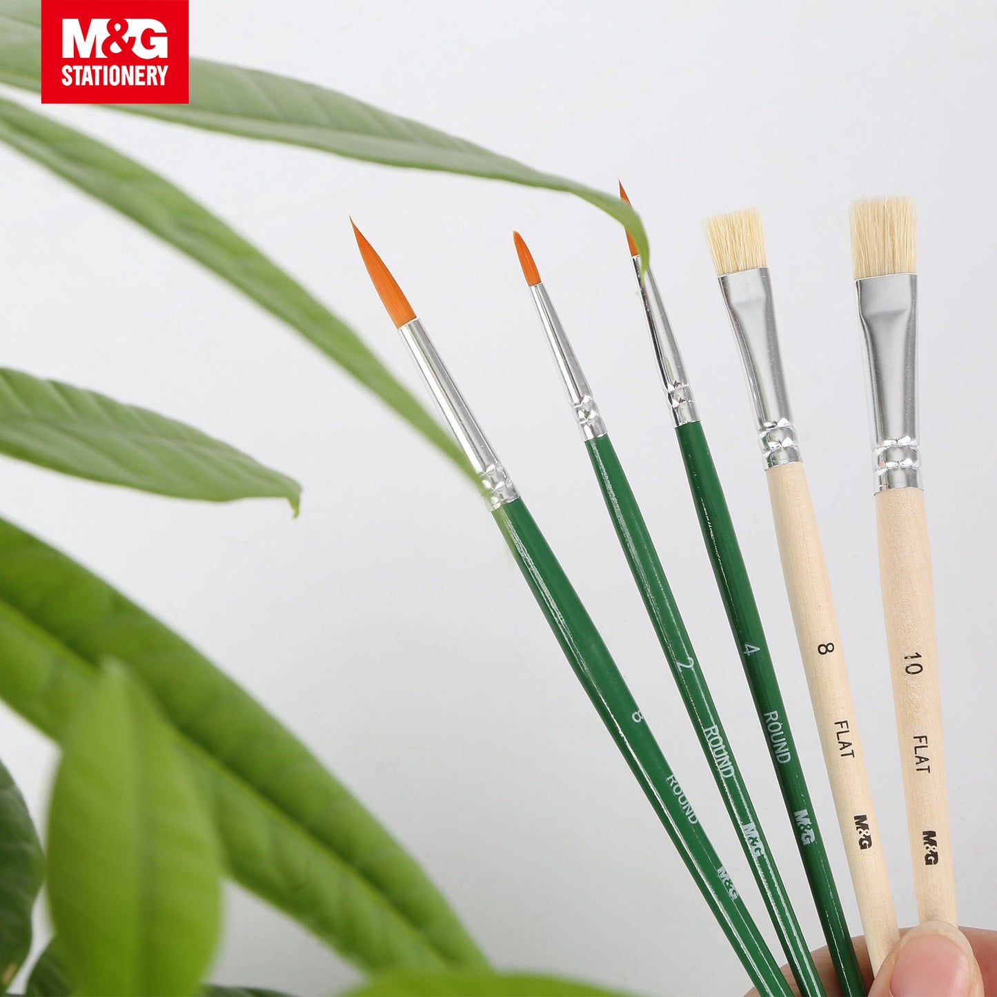 M&G Paint Brush Set 5pcs (ABH978B8)